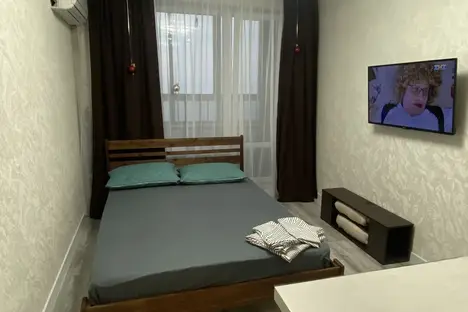 1-комнатная квартира в Воронеже, Воронеж, мкр. Шилово, ул. Теплоэнергетиков, 17к1