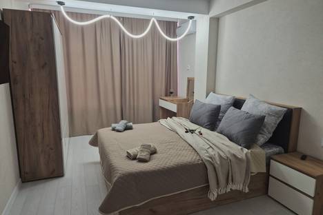 Однокомнатная квартира в аренду посуточно в Ессентуках по адресу ул. Фридриха Энгельса, 44/4