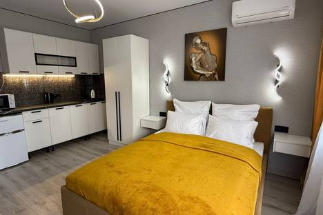 Однокомнатная квартира в аренду посуточно в Калининграде по адресу пр-кт Калинина, 111