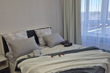 Однокомнатная квартира в аренду посуточно в Ессентуках по адресу ул. Фридриха Энгельса, 44/4