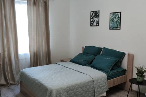 Однокомнатная квартира в аренду посуточно в Калининграде по адресу Черниговская ул., 19Е