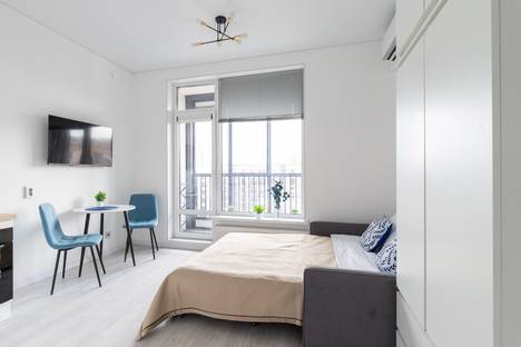 1-комнатная квартира в Санкт-Петербурге, Санкт-Петербург, Дальневосточный пр-кт, 19к1