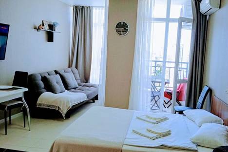 1-комнатная квартира в Сочи, мкр. Светлана, Депутатская ул., 10