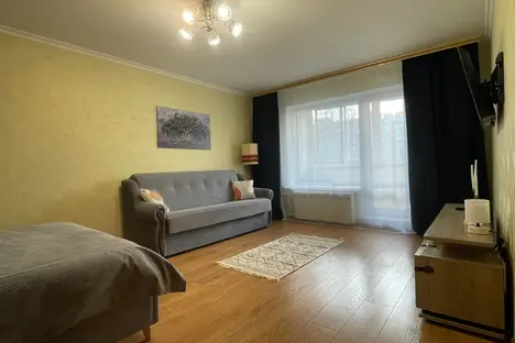 1-комнатная квартира в Москве, Ясеневая ул., 41к2