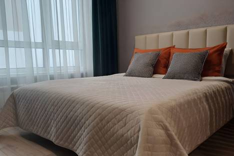 1-комнатная квартира в Воронеже, Воронеж, ул. 9 Января, 68/1к2