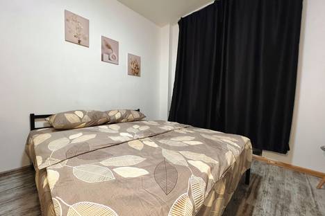 1-комнатная квартира в Мурино, Мурино, Петровский б-р, 12к2