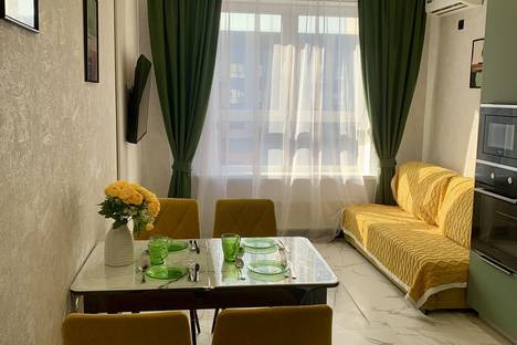 Однокомнатная квартира в аренду посуточно в Краснодаре по адресу ул. Наставников, 12к1