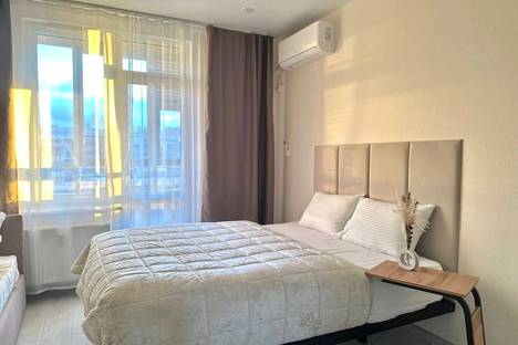 1-комнатная квартира в Санкт-Петербурге, Богатырский пр-кт, 2А