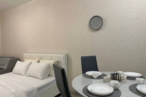 1-комнатная квартира в Санкт-Петербурге, Санкт-Петербург, Туристская ул., 10к1, м. Беговая