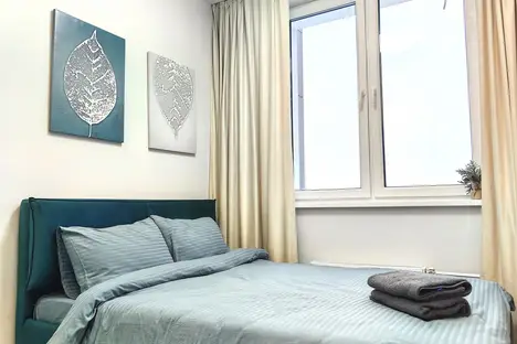 1-комнатная квартира в Москве, Берёзовая ал., 19к6