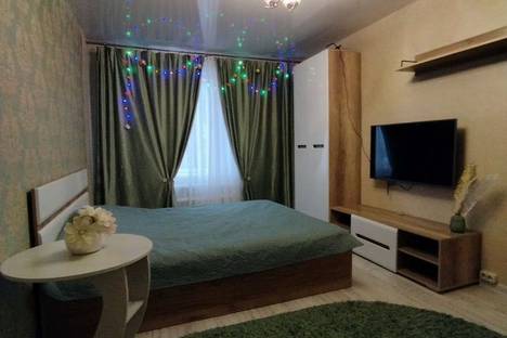 1-комнатная квартира в Борисоглебске, Борисоглебск, Аэродромная ул., 20