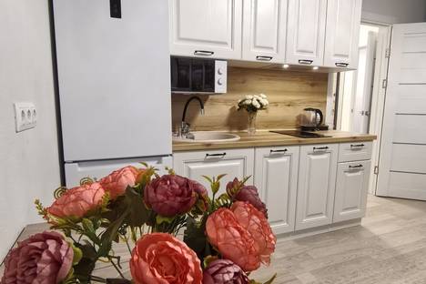 Двухкомнатная квартира в аренду посуточно в Ростове-на-Дону по адресу пр-кт Солженицына, 13/2с1