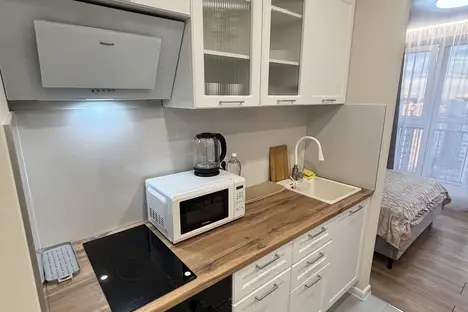 1-комнатная квартира в Ростове-на-Дону, ул. Ерёменко, 110/2с1