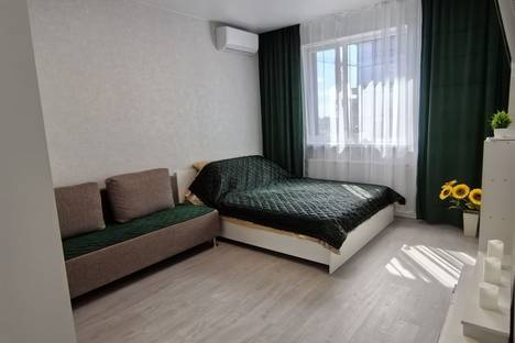 Однокомнатная квартира в аренду посуточно в Ростове-на-Дону по адресу жилой комплекс Западные Аллеи, 5.2