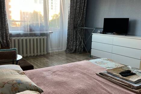 1-комнатная квартира в Екатеринбурге, ул. Ильича, 33