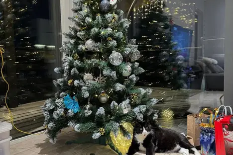 Дом в Московской области, Московская область, ул. Мира, 87