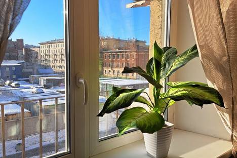 1-комнатная квартира в Санкт-Петербурге, ул. Профессора Ивашенцова, 4/30