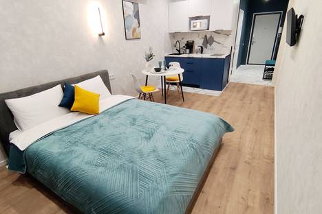 1-комнатная квартира в Ростове-на-Дону, Ворошиловский пр-кт, 82/4