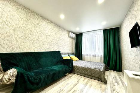 1-комнатная квартира в Рязани, ул. Княжье Поле, 4к1