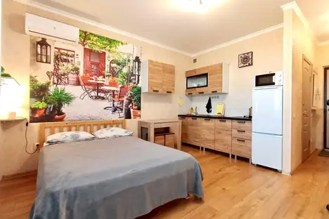 1-комнатная квартира в Рязани, Московское ш., 33к3