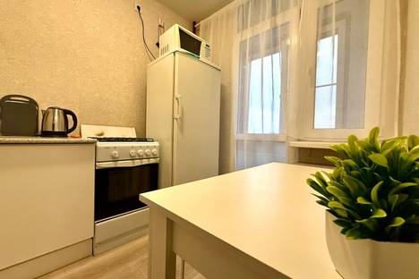 1-комнатная квартира в Рязани, Рязань, ул. Чернышевского, 3