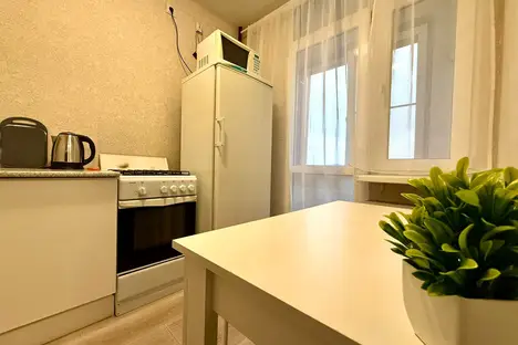 1-комнатная квартира в Рязани, Рязань, ул. Чернышевского, 3