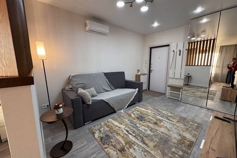 Однокомнатная квартира в аренду посуточно в Новосибирске по адресу ул. Сибиряков-Гвардейцев, 53/9