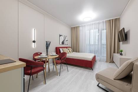 Однокомнатная квартира в аренду посуточно в Санкт-Петербурге по адресу пр-кт Обуховской Обороны, 36