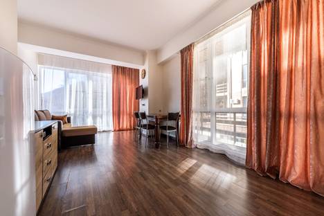 1-комнатная квартира в Красной Поляне, Калиновая ул., 9/9