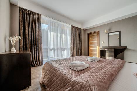 1-комнатная квартира в Красной Поляне, Красная Поляна, Калиновая ул., 9/9