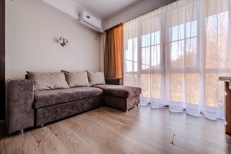 1-комнатная квартира в Красной Поляне, Калиновая ул., 9/9