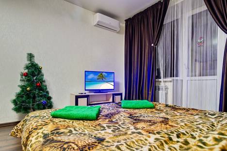 Однокомнатная квартира в аренду посуточно в Пензе по адресу ул. Калинина, 22А