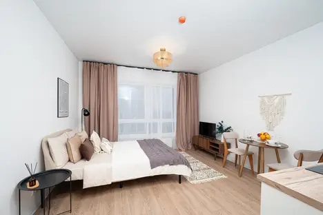 1-комнатная квартира в Санкт-Петербурге, Тосина ул., 1к2