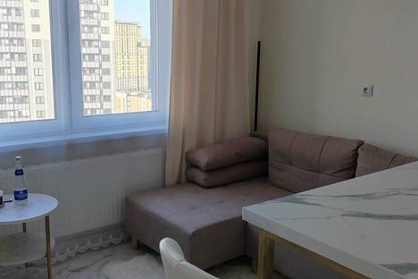 1-комнатная квартира в Санкт-Петербурге, Дальневосточный пр-кт, 35к3