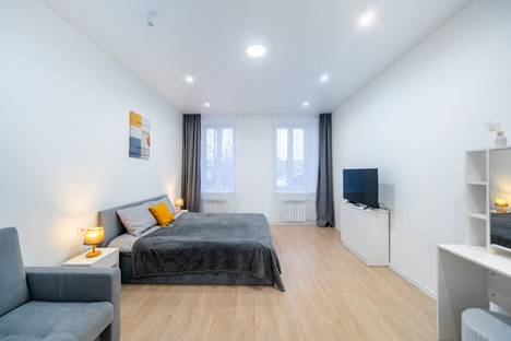 Однокомнатная квартира в аренду посуточно в Санкт-Петербурге по адресу ул. Черняховского, 69