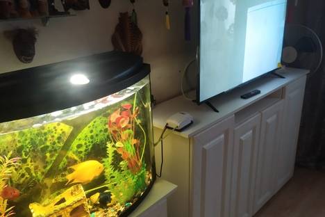 1-комнатная квартира в Кирове, ул. Сурикова, 37