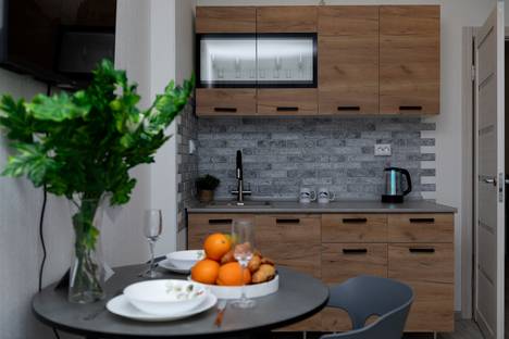 1-комнатная квартира в Новосибирске, ул. Ясный б-г, 43