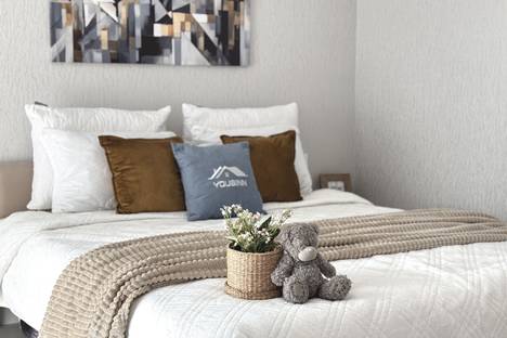 1-комнатная квартира в Новосибирске, ул. Ясный б-г, 43