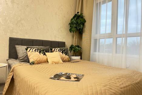 1-комнатная квартира в Новосибирске, ул. Ясный б-г, 33