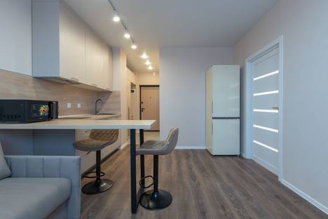 1-комнатная квартира в Екатеринбурге, Екатеринбург, ул. Репина, 109