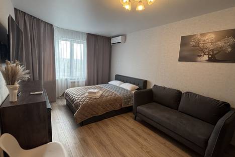 1-комнатная квартира в Воронеже, Воронеж, ул. Конструкторов, 29Ак2