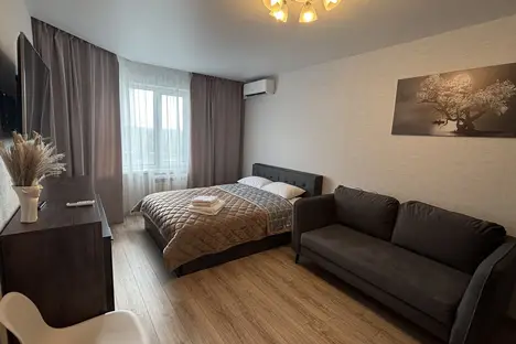 1-комнатная квартира в Воронеже, ул. Конструкторов, 29Ак2