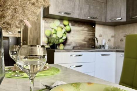 1-комнатная квартира в Московском, ул. Бианки, 5к1