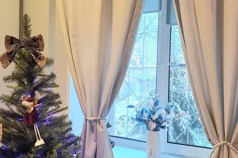 1-комнатная квартира в Нижнем Новгороде, Нижний Новгород, ул. Бекетова, 4А