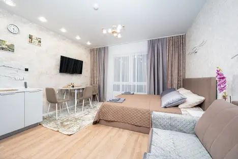 1-комнатная квартира в Санкт-Петербурге, Лиговский пр-кт, 242