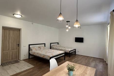 1-комнатная квартира в Минской области, Минская область, Минский р-н , д. Боровляны, Жемчужная ул., 19