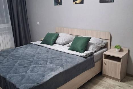 Однокомнатная квартира в аренду посуточно в Николаевске по адресу 1-й мкр., 26