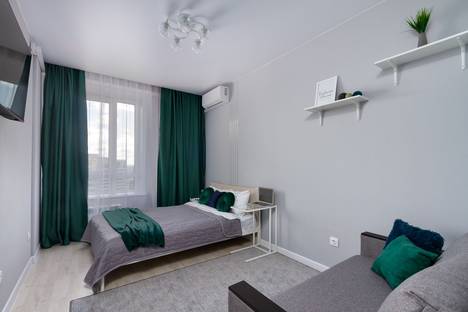 1-комнатная квартира в Новосибирске, Покатная ул., 55А