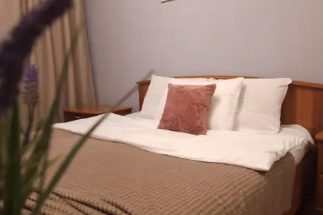 1-комнатная квартира в Екатеринбурге, ул. Белинского, 111