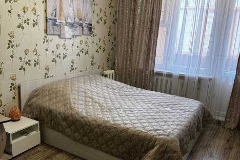 Однокомнатная квартира в аренду посуточно в Нижнем Новгороде по адресу жилой р-н  Соцгород, мкр. Соцгород-1, пр-кт Кирова, 20к2